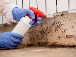 Best Mold Remediation for Healthcare Facilities  in Meadville, PA